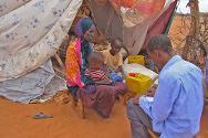 2012年4月，索马里，杜萨马雷布州，伊德比德卡，红十字国际委员会一名负责监督为国内流离失所者分发食品工作的员工正在采访一名从红十字国际委员会那里领到食品的人。