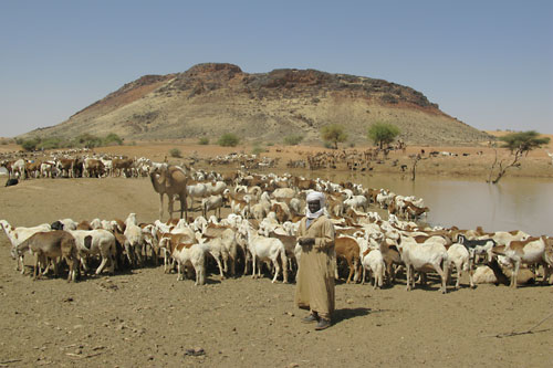 sudan-darfur-vaccinations-nr-2