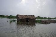 Le village d'Hansholay, au nord de Jowhar, a été complètement inondé lorsque le Shabelle a débordé, après deux mois de fortes pluies.