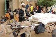 Bagoundjé, próximo a Gao, norte de Mali. Um beneficiado carrega o seu carrinho depois de uma distribuição de alimentos e utensílios essenciais realizada pelo CICV.