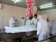مشرحة برازافيل، أحد خبراء الطب الشرعي باللجنة الدولية يدرب العاملين على إجراء فحوصات لجثث مجهولة الهوية لضحايا انفجار مبيلا. 