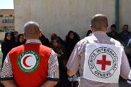 红十字国际委员会和伊拉克红新月会员工在巴格达监督为流离失所者分发救济物资的工作。