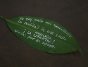 Villavicencio, Colombia. A leaf given by Luis Alfredo Moreno to the Brazilian army pilot who flew him out of the jungle to freedom on Monday, 2 April 2012. The Spanish text reads: 