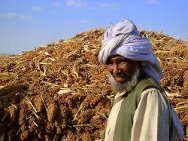Región de Gash Barka, Eritrea. Un agricultor, junto a los desechos producidos por la operación de arado con tractor en un día de trabajo.