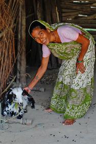 Samsergunj, distrito de Banke, Nepal. Una beneficiaria del programa Hateymalo posa con la cabra que recibió hace poco tiempo.Cuando la cabra para sus primeros cabritos, dará una de las hembras a otra familia vulnerable de la misma comunidad, como parte del programa 