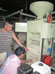 Colombia: el CICR ayuda a producir arroz en el departamento del Guaviare.