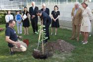Takashi Okada, representante permanente adjunto del Japón en Ginebra, ayuda a plantar el árbol de ginkgo biloba.