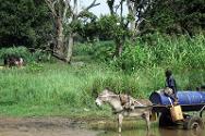 El medio comúnmente utilizado para transportar agua del río Keniati son los carros tirados por asnos. Río arriba, es habitual ver a niños y mujeres bañándose y lavando la ropa. Los pobladores beben esa misma agua, lo que provoca brotes de cólera y de otras enfermedades originadas en el agua. 