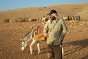 Pastor beduino con su ganado en la comunidad Samara, valle de Jordania. Durante siglos, los pastores beduinos han alimentado a sus ovejas en estas tierras. La cría de ganado es el principal medio de sustento de los beduinos, pero las tierras que necesitan se encuentran en áreas cerradas para uso militar israelí. 