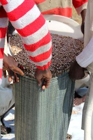 Zimbabwe, ferme pénitentiaire d’Anju, 2011. Les détenus se mettent à plusieurs pour emballer les haricots dans des sacs.