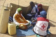 Férério, province de l'Oudalan, Burkina Faso. Un volontaire de la Croix-Rouge Burkinabè, avec l'appui du CICR, enregistre les données d'une famille de réfugiés maliens.