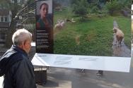 Mostra de fotografias sobre as famílias dos desaparecidos.