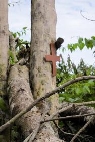 Придорожный поклонный крест в сельском районе департамента Гуавьяре. В соответствии с положениями международного гуманитарного права гражданских лиц следует щадить и защищать при любых обстоятельствах. 