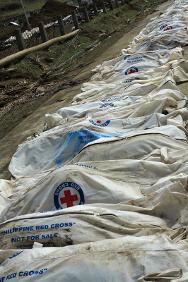 Тела погибших во время тайфуна Хайан упакованы в специальные мешки. 