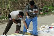 Эксперты по судебно-медицинской работе Андрес Патиньо (МККК) и Ракел Фортун (Филиппины) работают над обеспечением надлежащего обращения с телами и опознания погибших от тайфуна Хайан. 