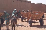 Южный Дарфур, январь 2012 года. МККК раздает женщинам, бежащим из своих домов в Ньялу, ослов и повозки. 