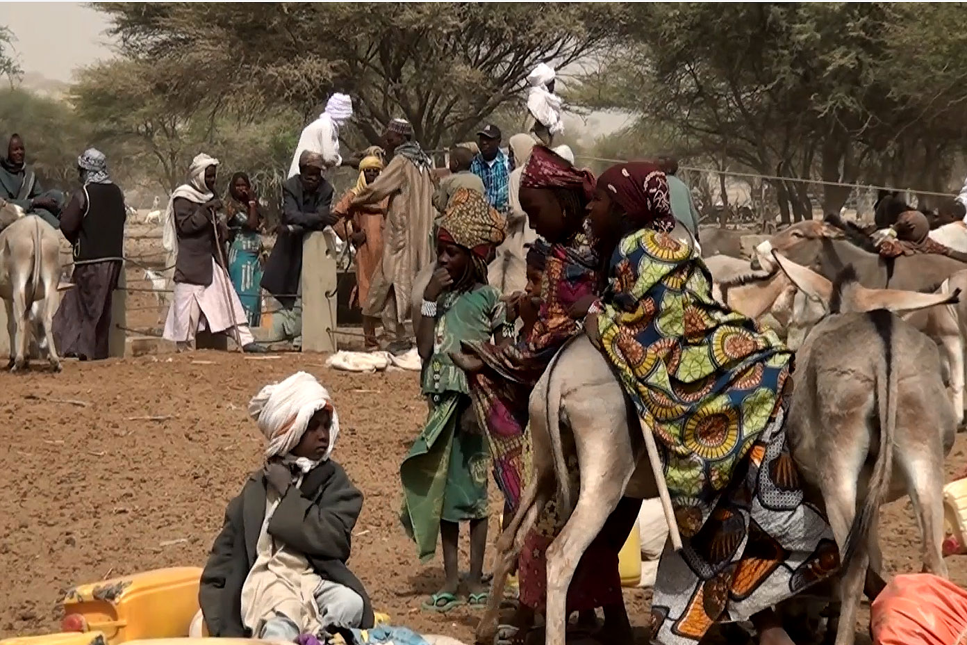 Resultado de imagen de niger