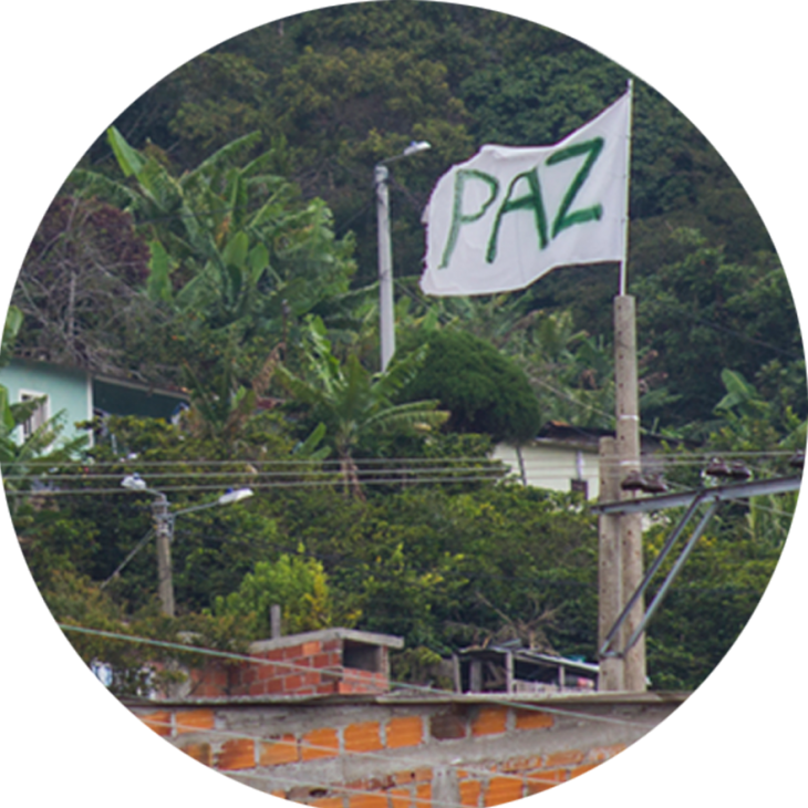 Una bandera izada con fondo blanco y la pabra PAZ.