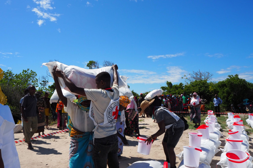 Mozambique: 13,500 families receive emergency assistance and support for income generation in 2022