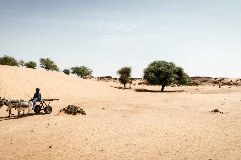 Une ligne de front invisible : le changement climatique en zone de conflit au Mali