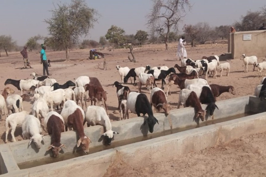 Burkina Faso : l’eau, l’autre défi des éleveurs en quête de survie