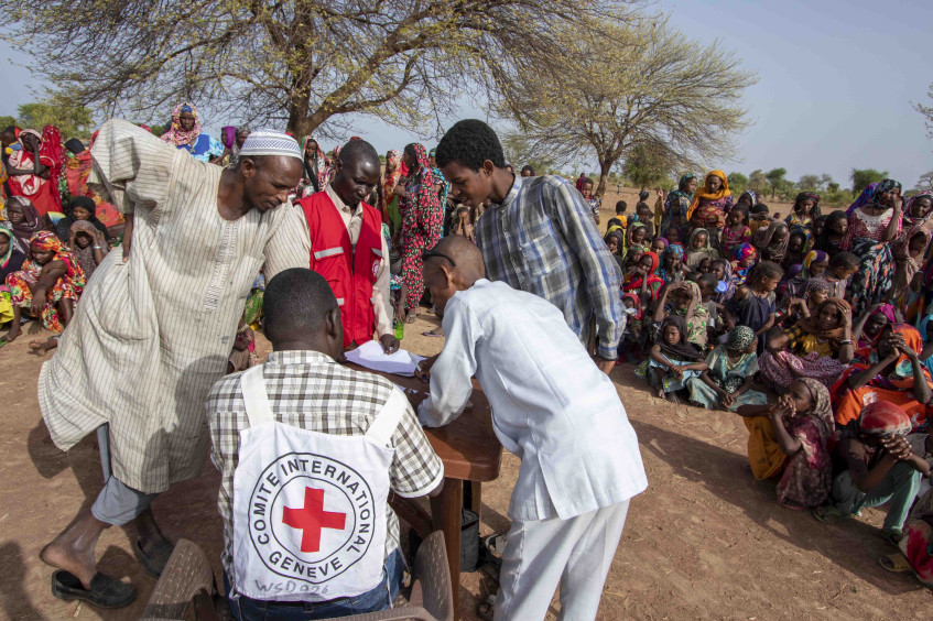 Sudan: ICRC Activities From January to December 2022