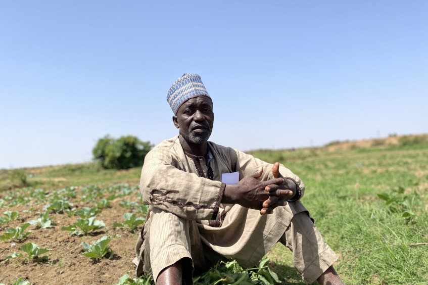Nigéria: nova tecnologia de irrigação ajuda agricultores a reconstruir a vida