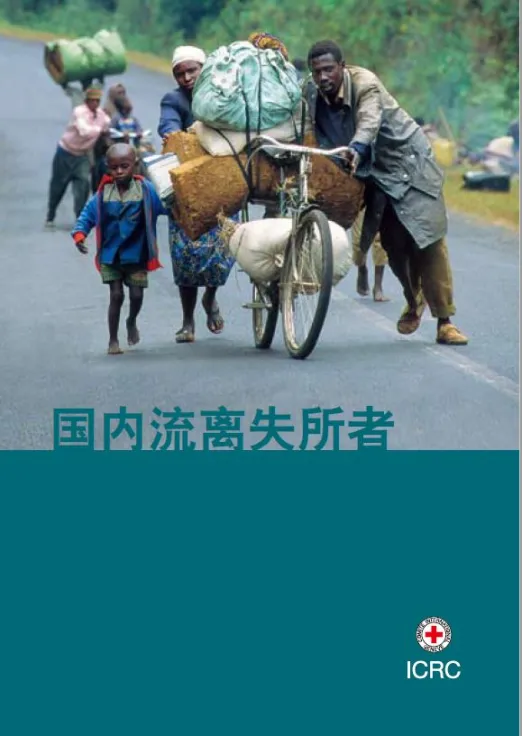 国内流离失所者