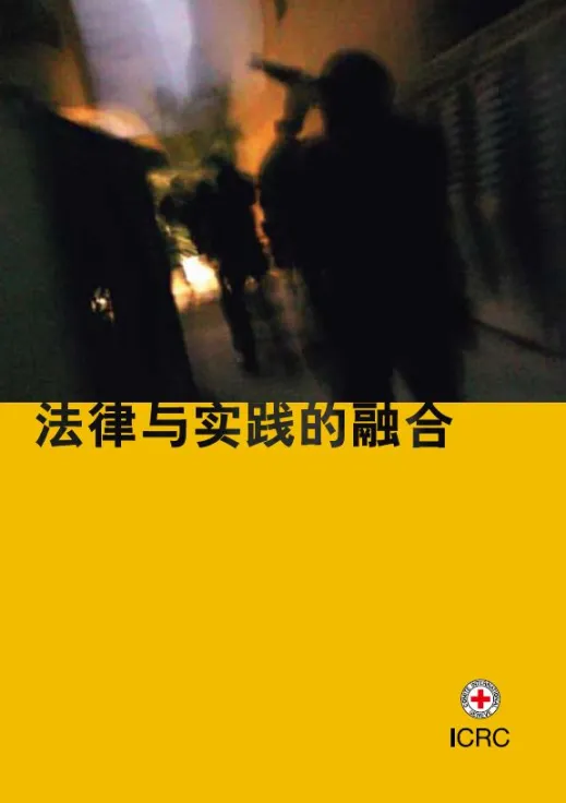 法律与实践的融合