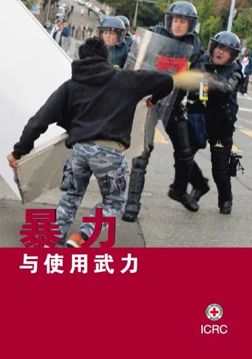 暴力与使用武力