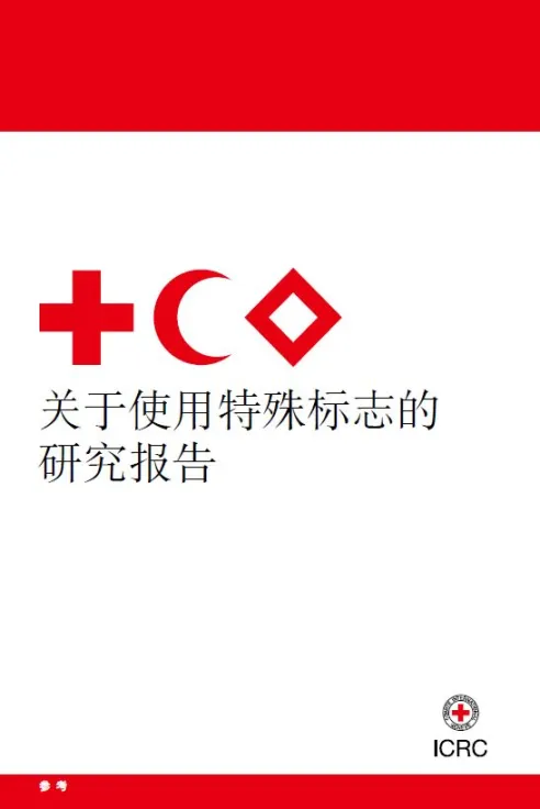 关于使用特殊标志的研究报告