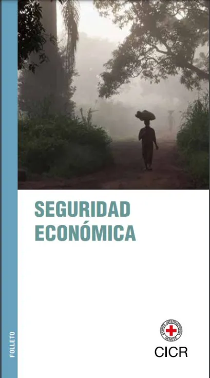 Portada de la publicación: Seguridad Económica