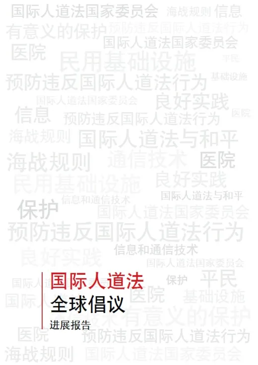 国际人道法全球倡议进展报告