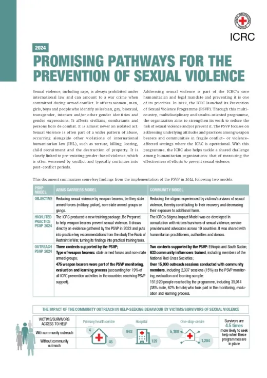 Promising Pathways for the prevention of sexual violence 2024