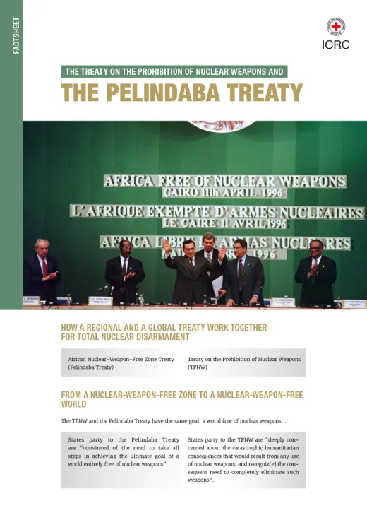 The Pelindaba Treaty and the TPNW