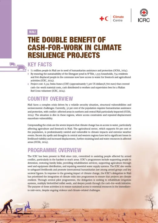 Mali: The double benefit of cash-for-work in climate resilience projects