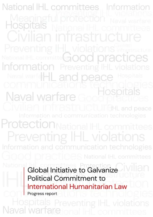 Global Initiative to Galvanize Political Commitment on International Humanitarian Law: Progress Report