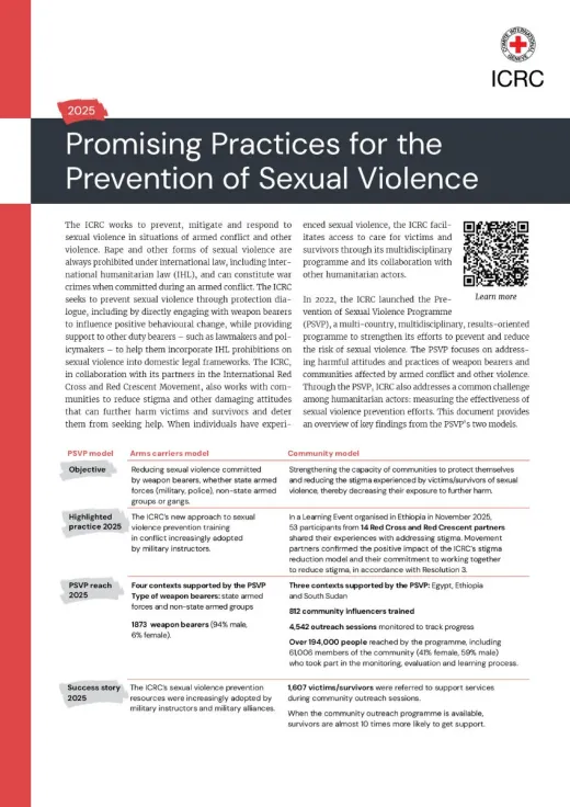 Promising Practices for the Prevention of Sexual Violence 2026