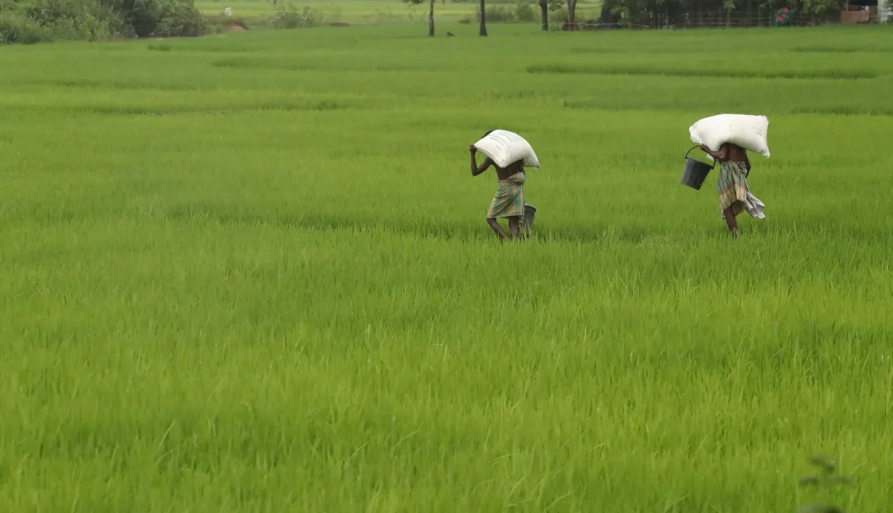 Cox's Bazar, Keroutoli camp. Refugees from Myanmar are carrying food rations distributed by humanitarian organisations.