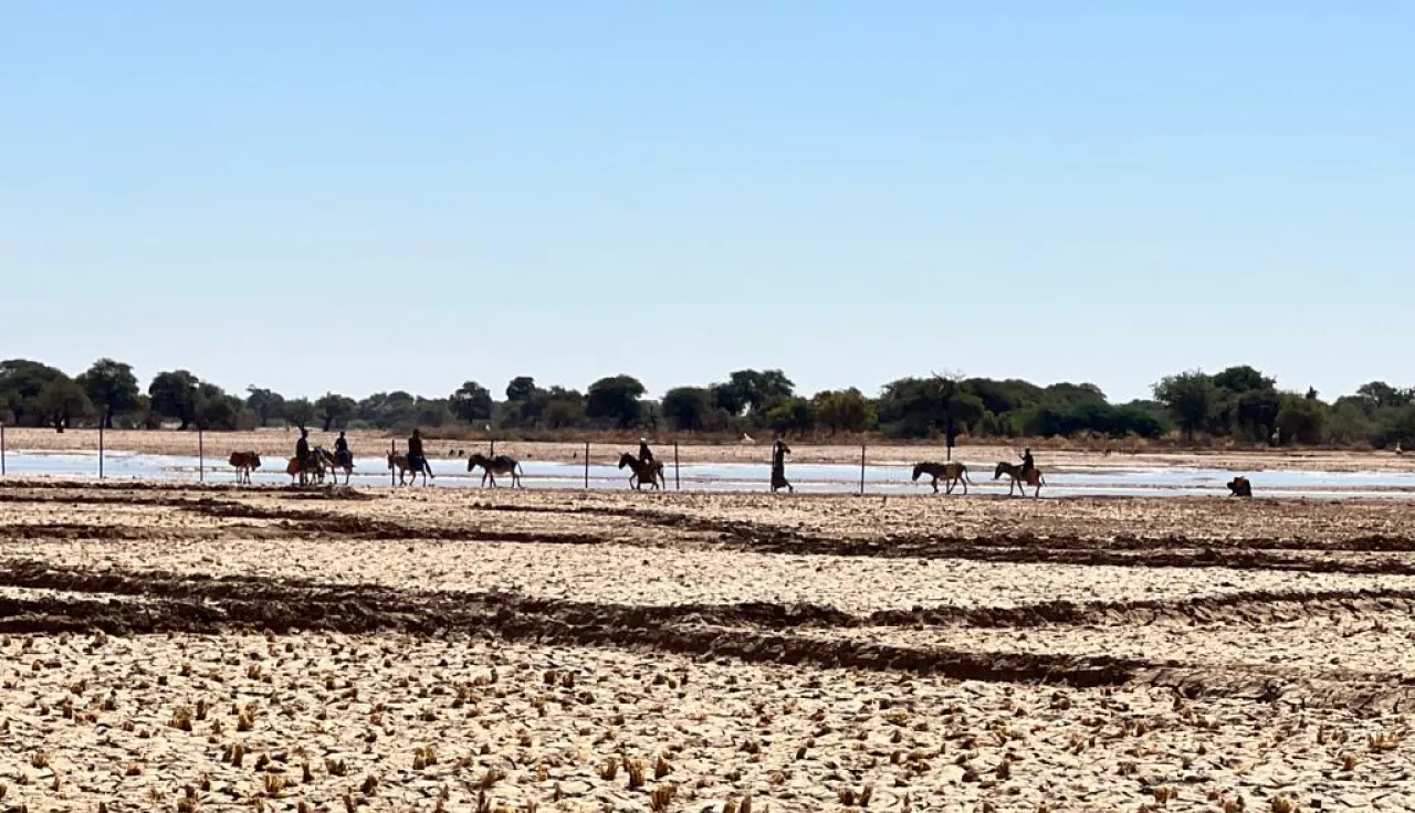 Ménaka lutte pour sa sécurité alimentaire. Paysage d'une terre asséchée.