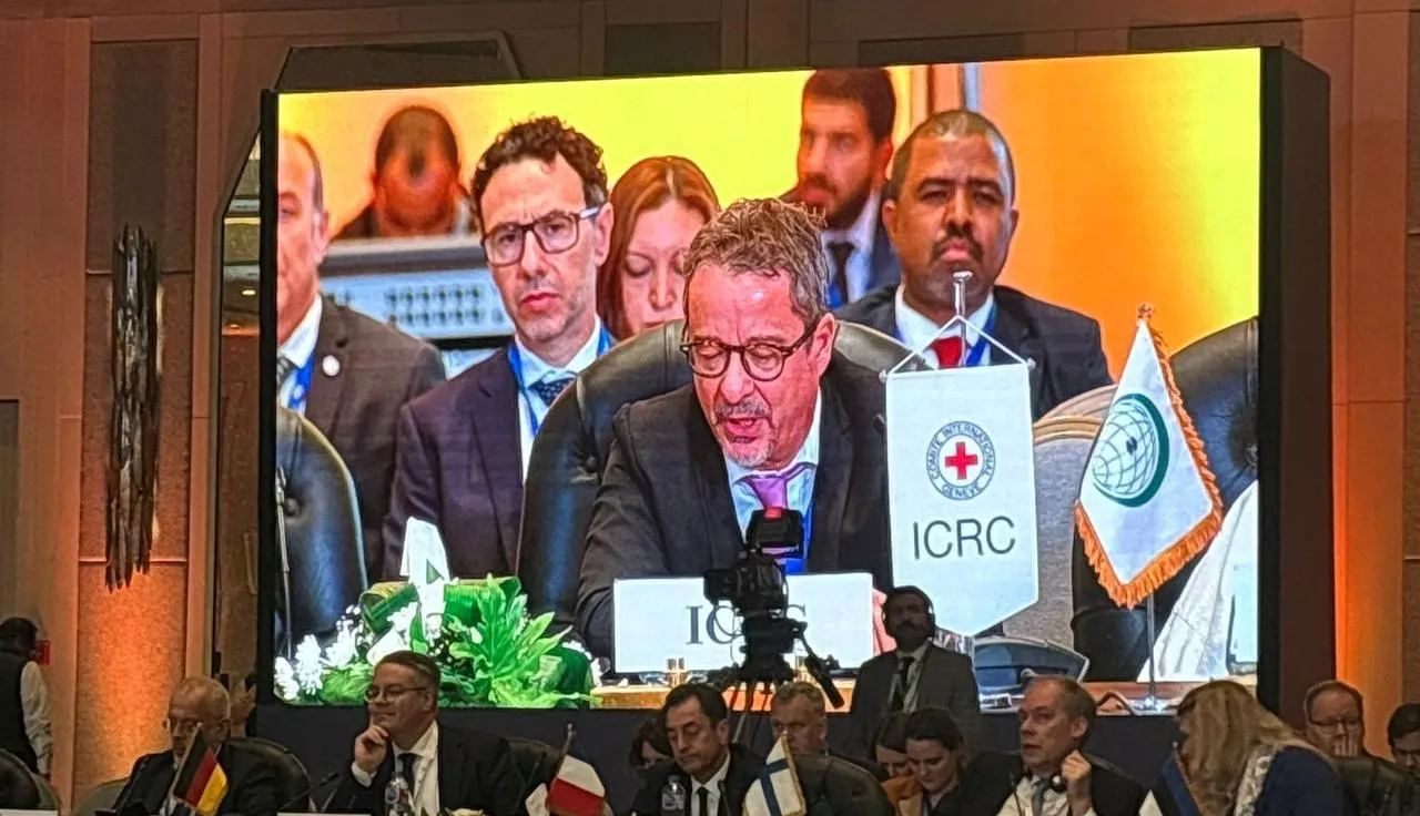 ICRC delegate at conference speaking at microphone