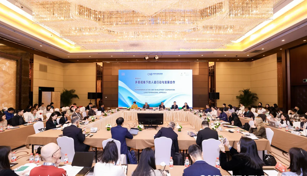 “多重视角下的人道行动与发展合作”专题会议
