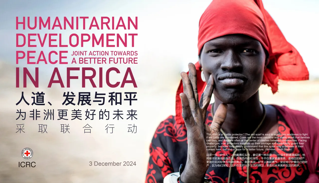Humanitarian-Development-Peace: Joint Action towards a Better Future in Africa