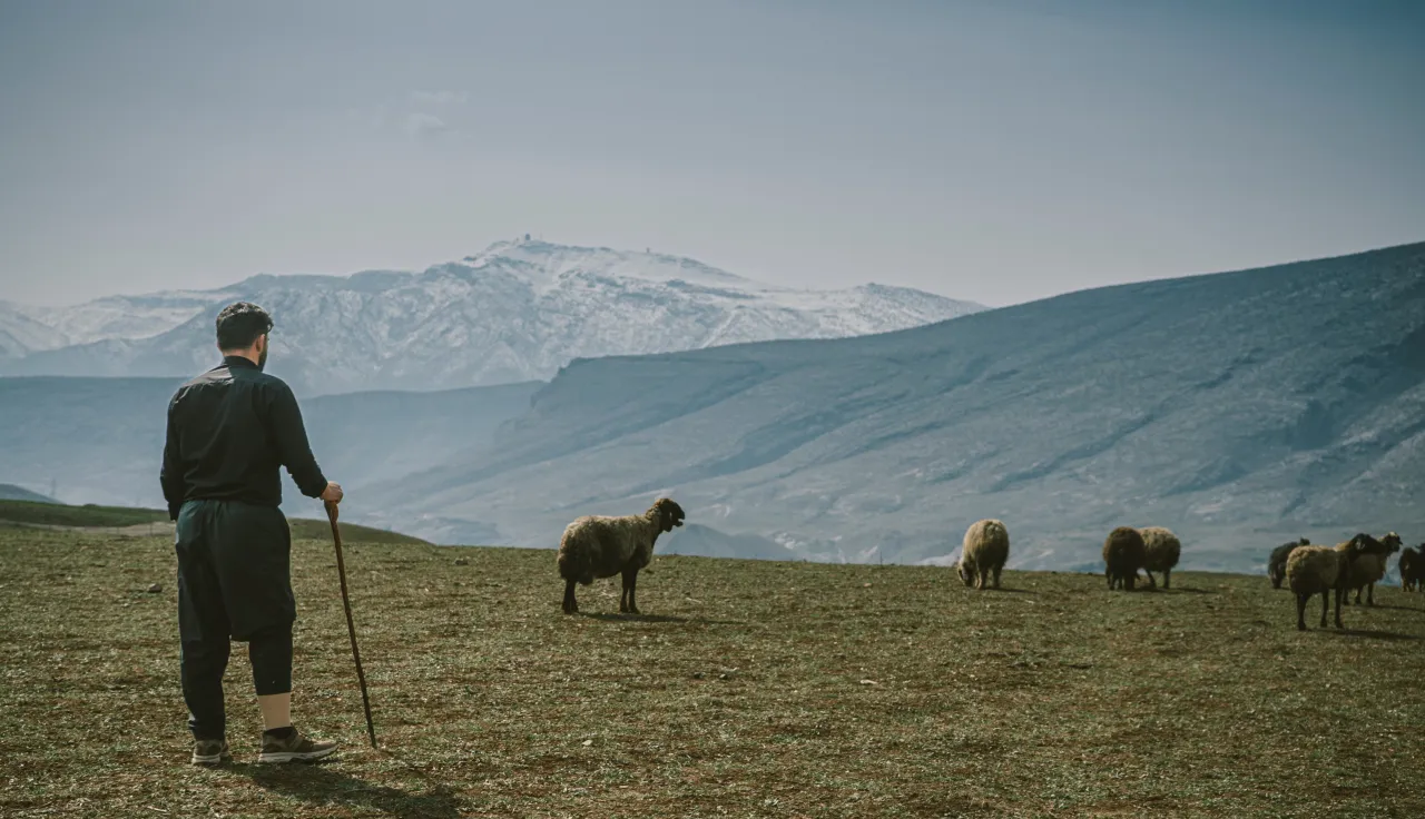 Omar stands on a hillside watching over his sheep in a vast, mountainous landscape with snow-capped peaks in the distance, in Iraq.