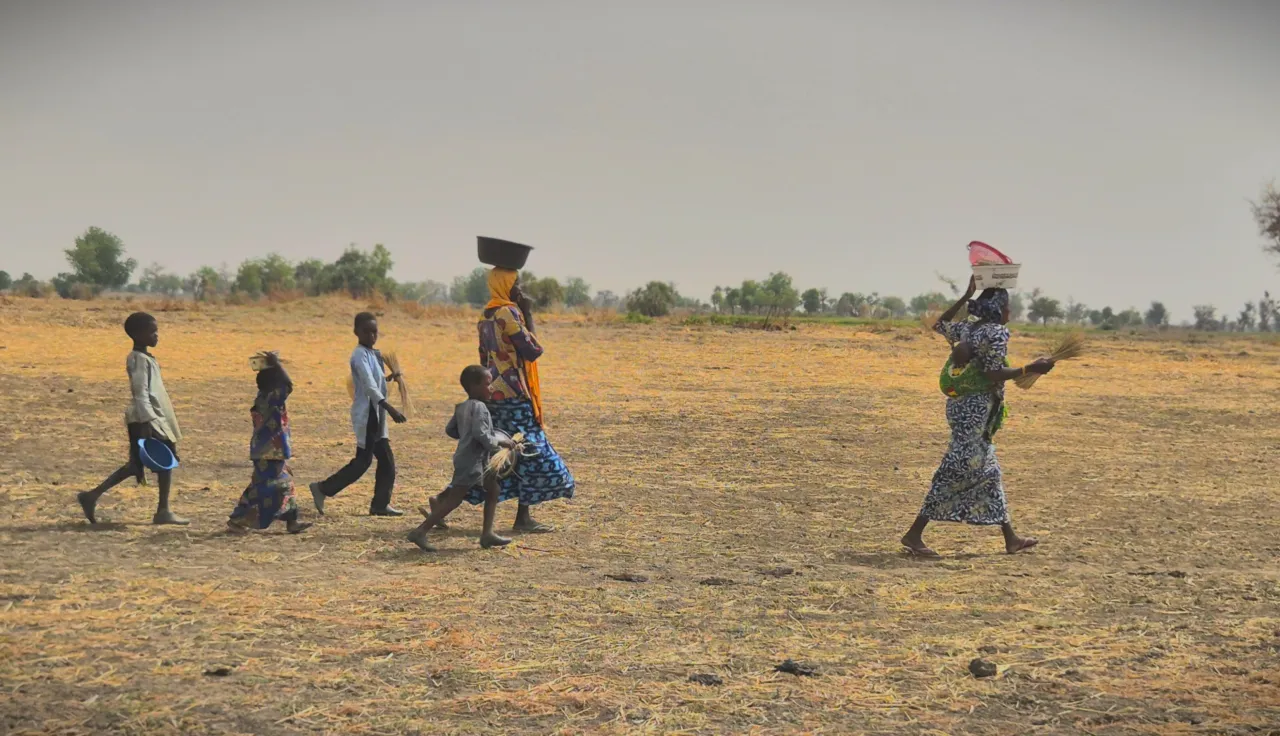 A displaced family gleaning rice in Usur village