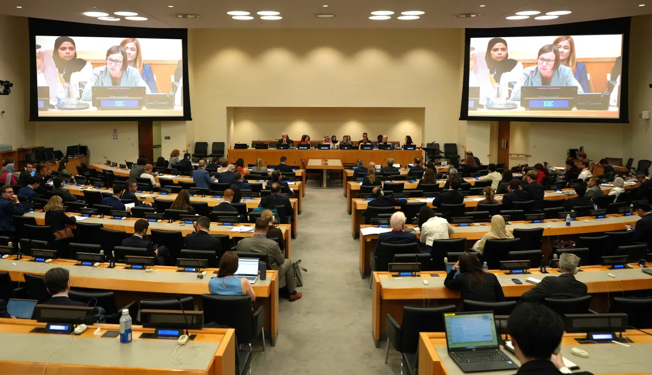 UNGA80 SE on Middle East