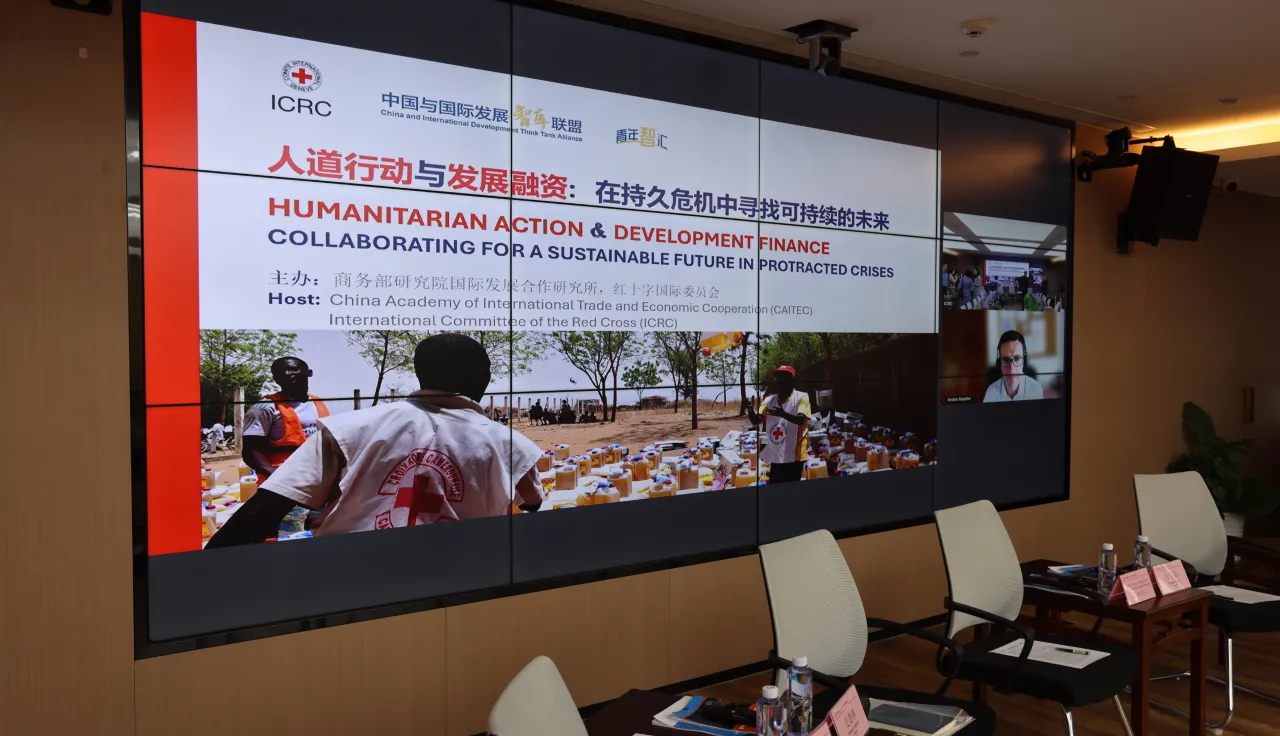 人道行动与发展融资
