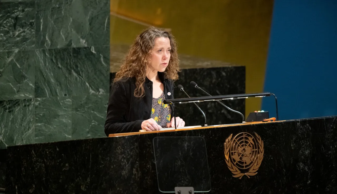 UNGA WSIS20
