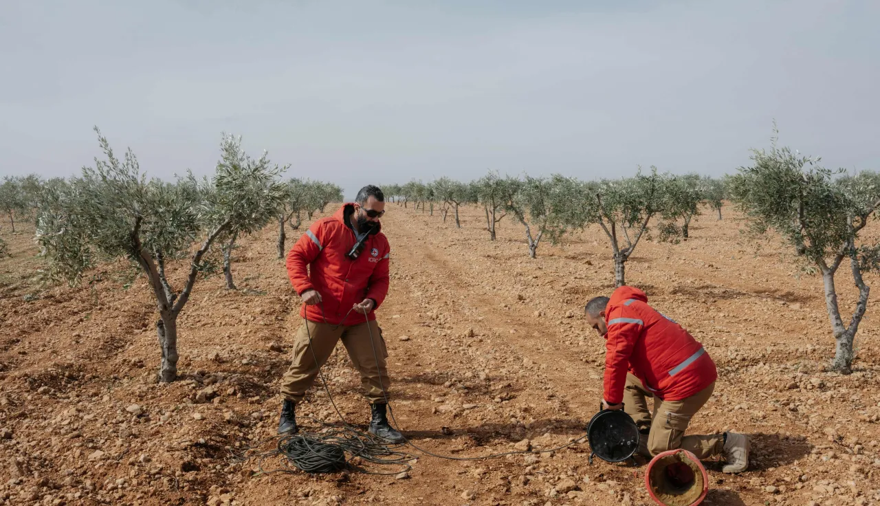 Siria, Alepo, 2026. Explosivos recolectados por personal especializado capacitado por el CICR durante una operación de remoción de armas en la aldea de Barlahin, en Alepo.