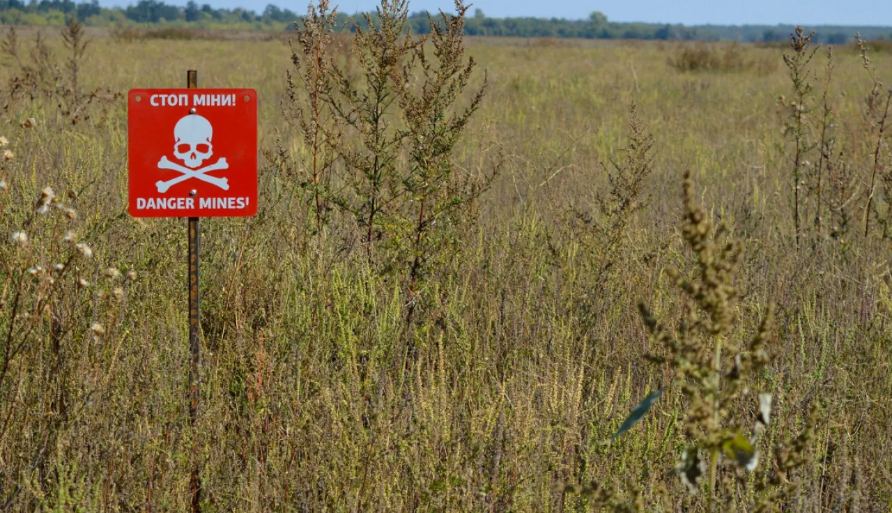 A red "Danger Mines!" sign with a skull and crossbones stands in a field of tall grass, warning of landmines.